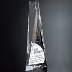 Serenity Award 12